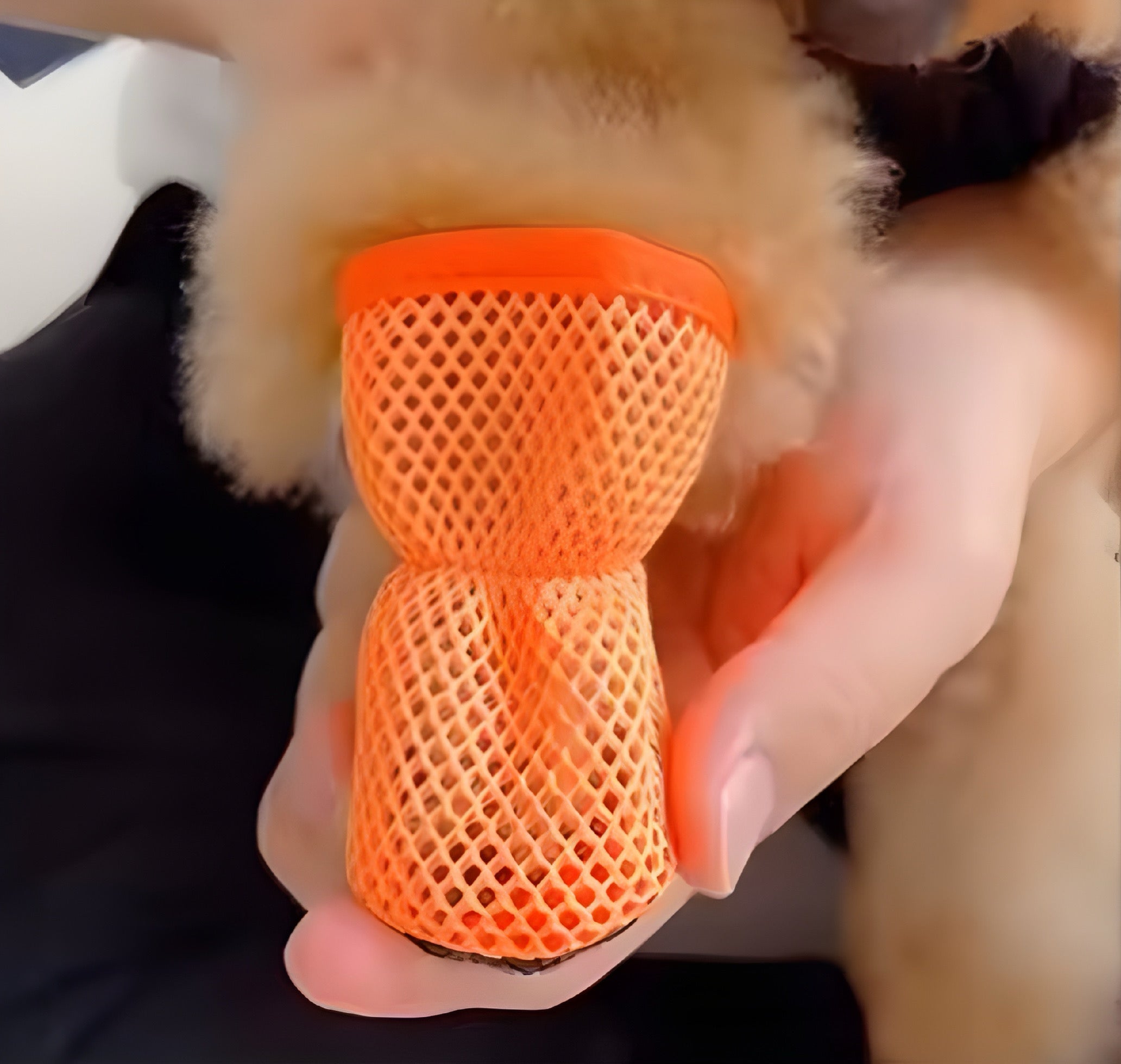 Scarpe in Rete Traspiranti per Cani