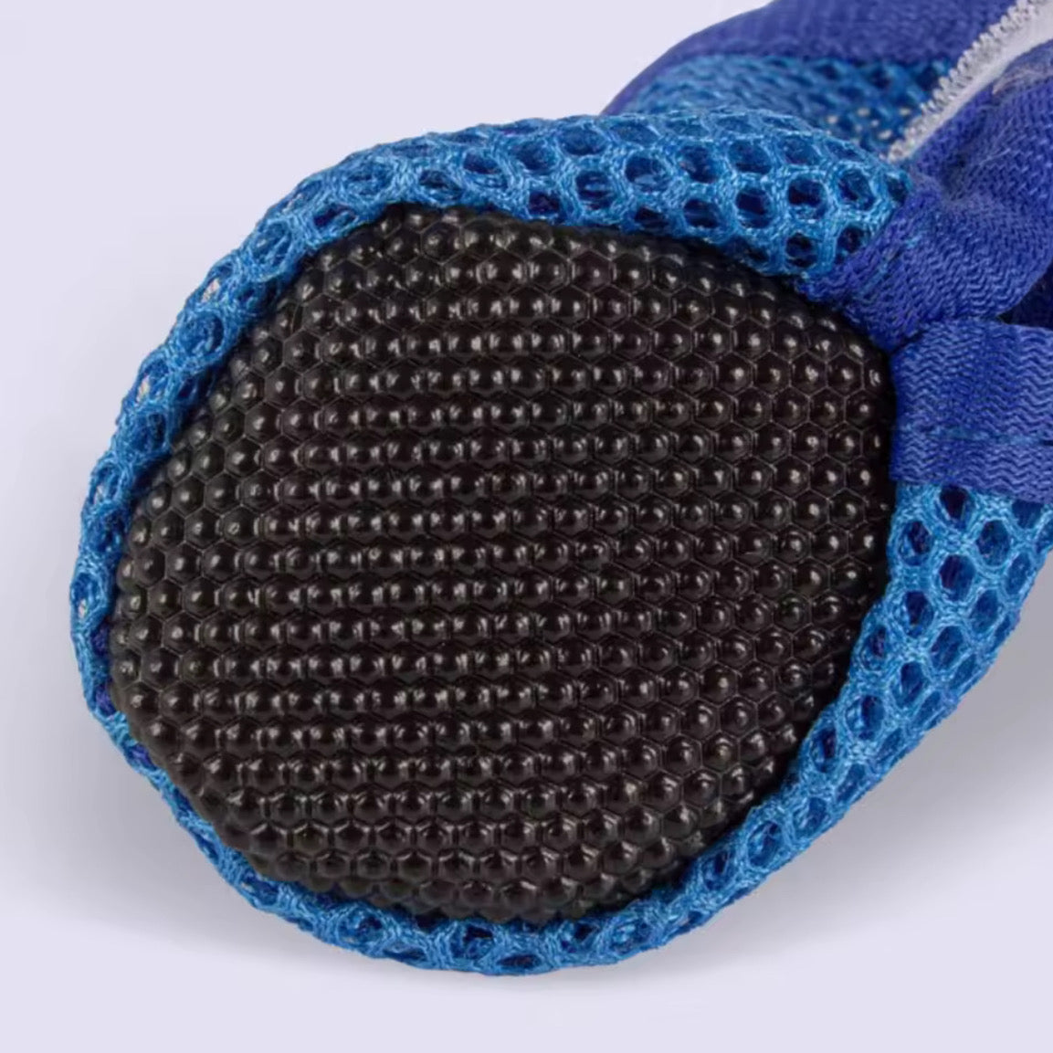 Scarpe in Rete Traspiranti per Cani