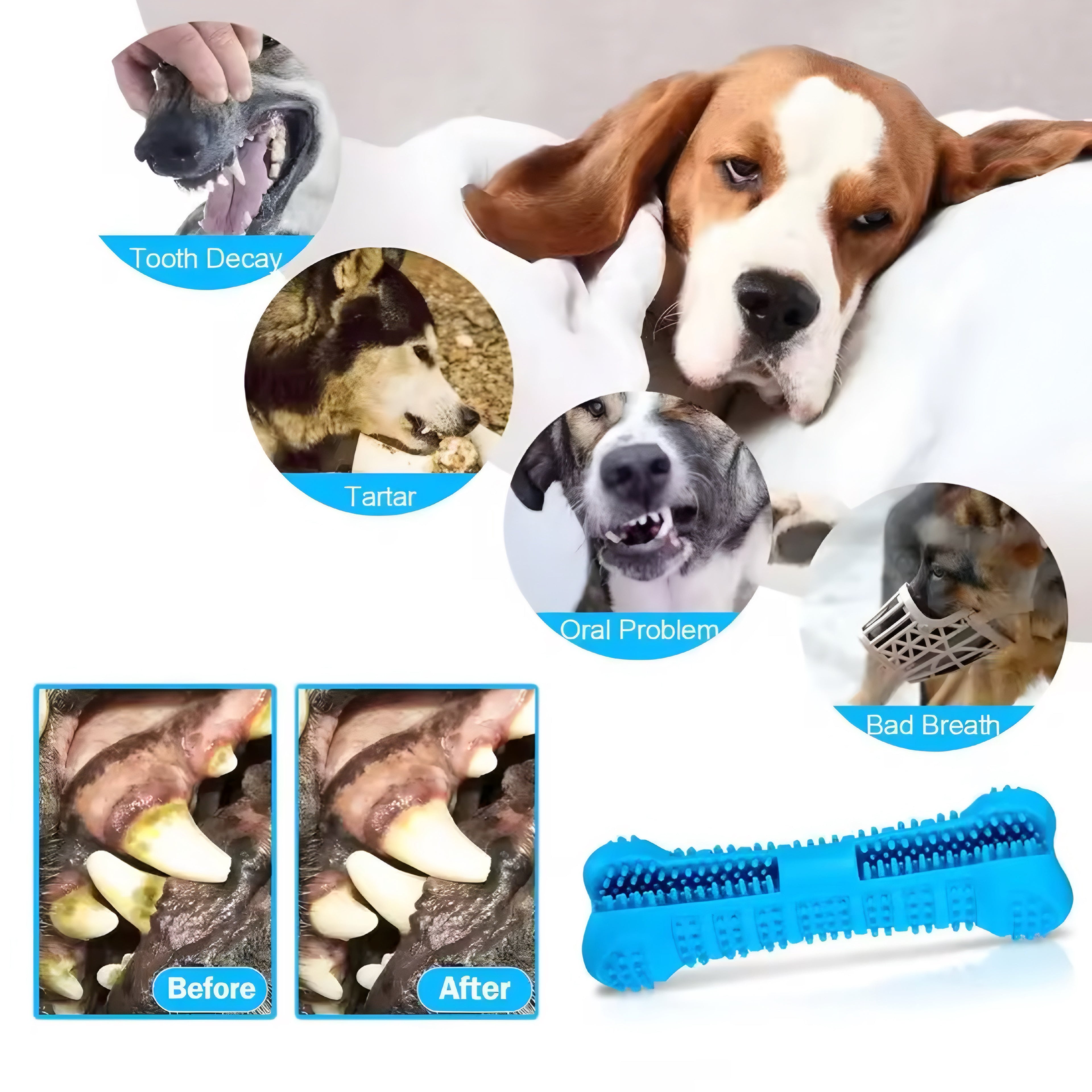 Spazzolino a 360° in Gomma Morbida per Cani